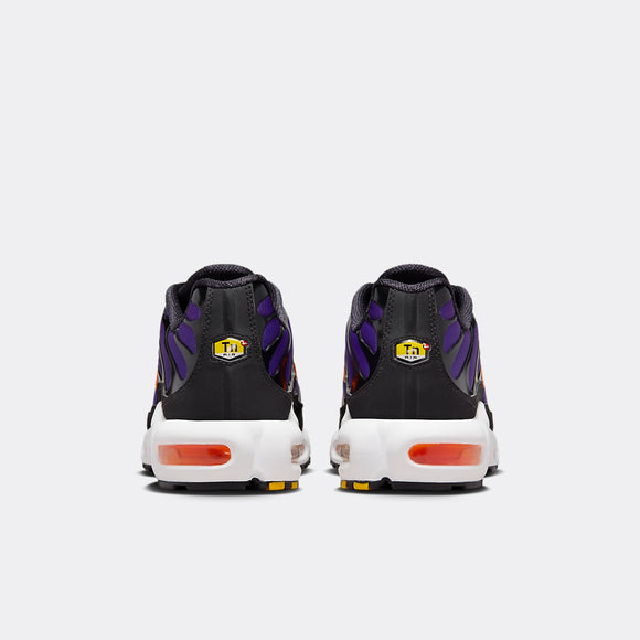 TN plus Purple